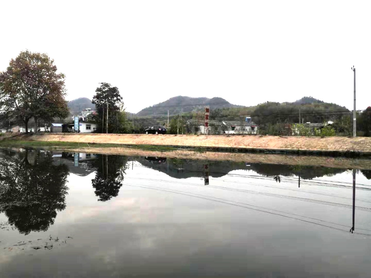下載 (1).jpg