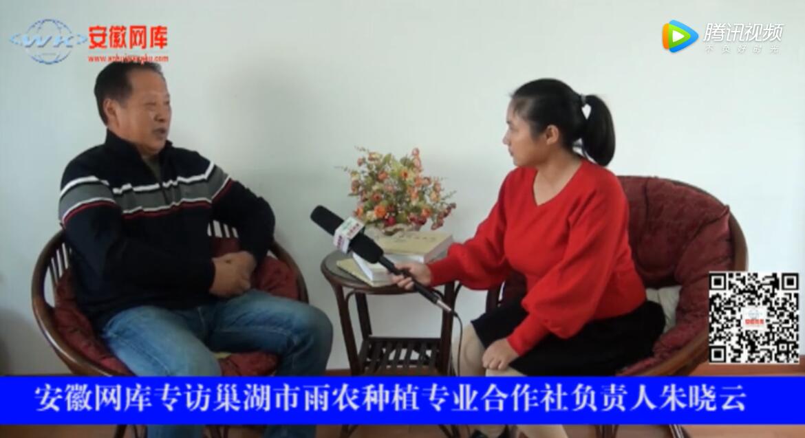վW(wng)쌣(zhun)L(fng)rNֲ(zhun)I(y)焓(chung  )ʼˡ